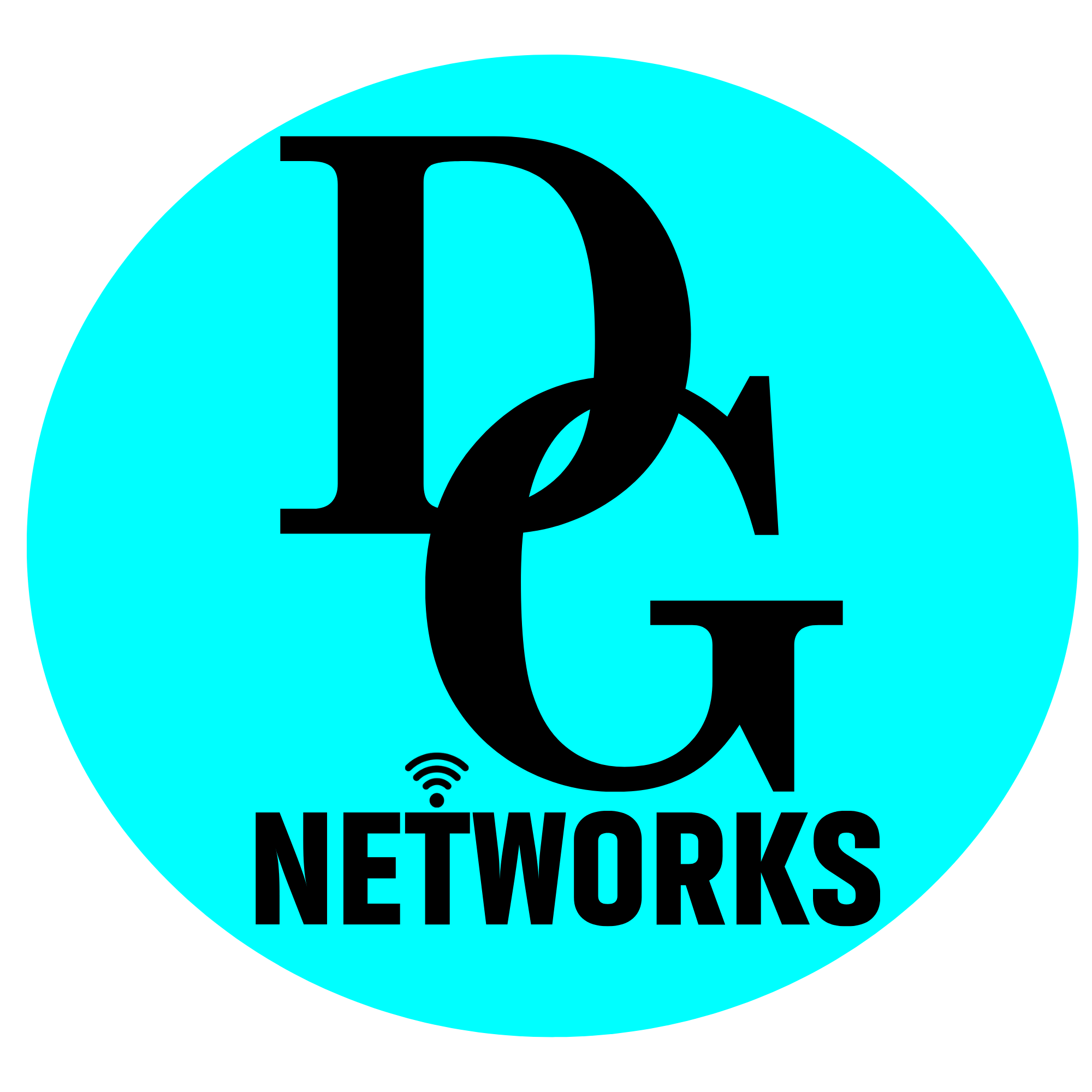 Danlinks Global Networks